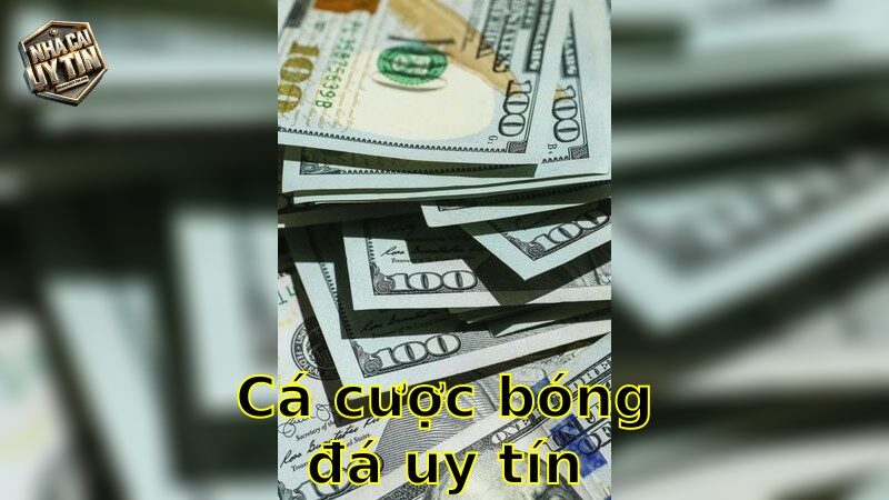 Cá cược bóng đá uy tín – Khám Phá Những Nhà Cái Hàng Đầu 2025