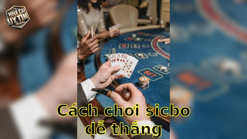 Cách chơi sicbo dễ thắng – Hướng dẫn đơn giản và hiệu quả 2025