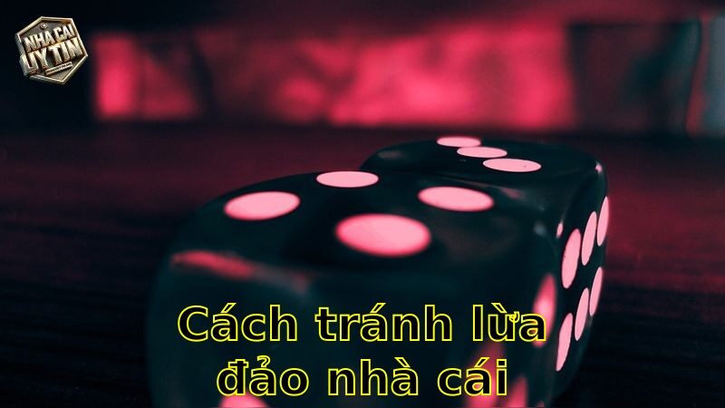 Cách tránh lừa đảo nhà cái – Bảo vệ an toàn cá cược 2025
