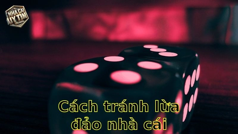 Cách tránh lừa đảo nhà cái – Bảo vệ an toàn cá cược 2025