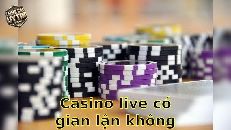 Casino live có gian lận không – Sự thật bạn nên biết 2025
