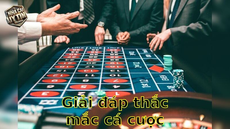 Giải đáp thắc mắc cá cược online – Câu trả lời cho mọi thắc mắc 2025