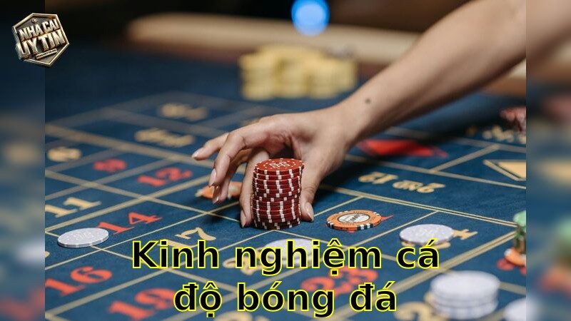 Kinh nghiệm cá độ bóng đá – Bí Quyết Đánh Nhanh Thắng Lớn 2025