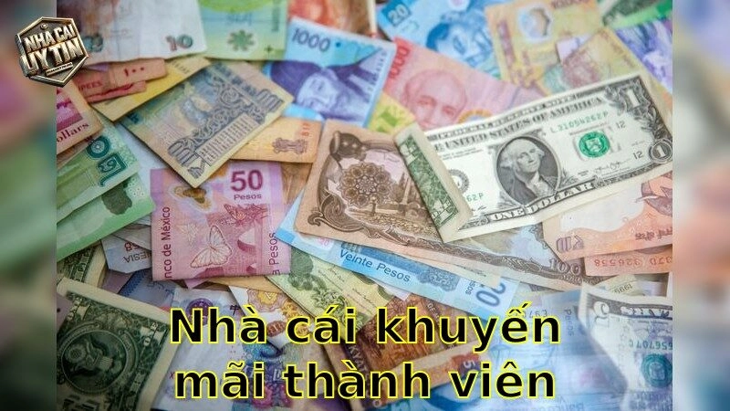 Nhà cái khuyến mãi thành viên mới – Bắt Đầu Cá Cược Với Ưu Đãi Khủng 2025