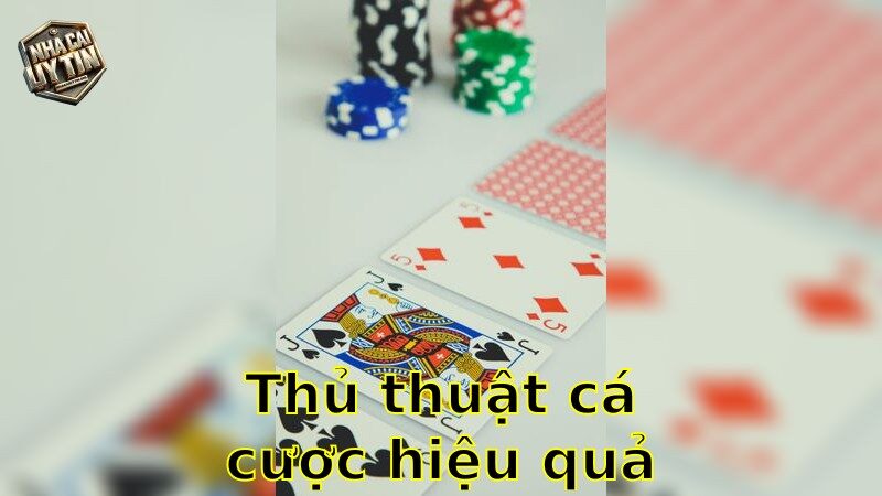 Thủ thuật cá cược hiệu quả – Tăng tỷ lệ thắng ấn tượng 2025