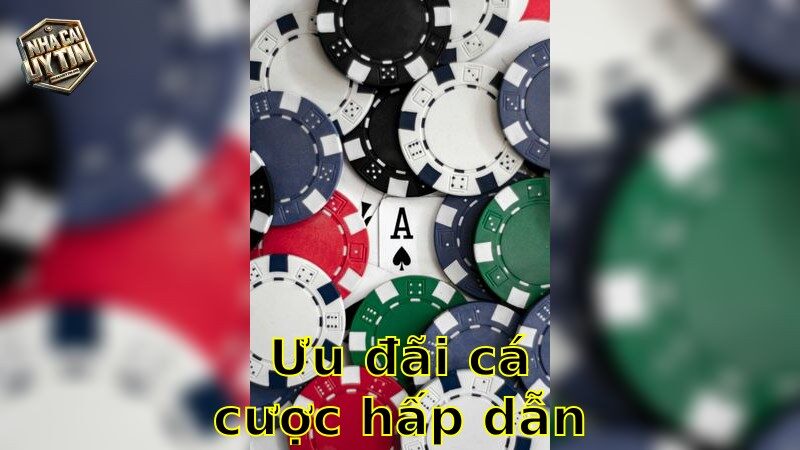 Ưu đãi cá cược hấp dẫn – Đặt Cược Thông Minh với Các Khuyến Mãi Tốt Nhất 2025